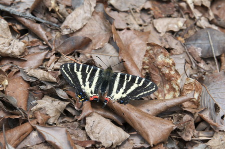 100418113223DSC_5683.jpg