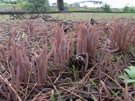 111022_101311_R0017945.jpg