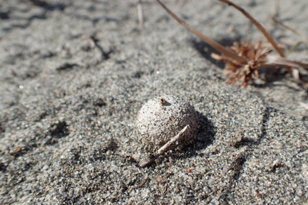 141103_104059_TG3_PB030038.jpg