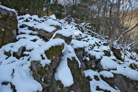 150104_100852_6D_IMG_0084.jpg