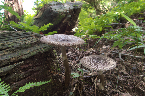 150720_134738_TG4_P7200015.jpg