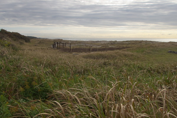 151126_093648_TG4_PB260034.jpg