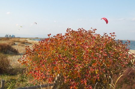 DSC_0046_2.jpg