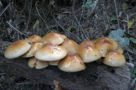 DSC_0057_2.jpg