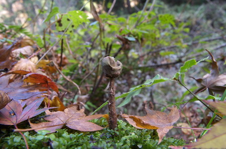 DSC_0100.jpg