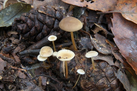 DSC_0104.jpg