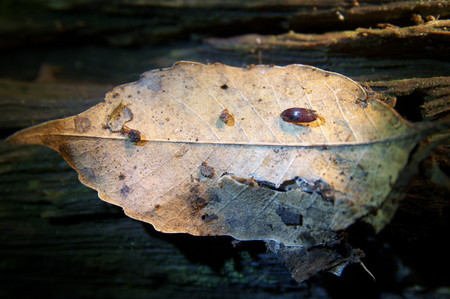 DSC_3245090627.jpg