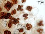 EDSCN7380.jpg