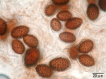EDSCN7384.jpg