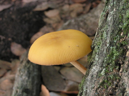 SDSCN0242.jpg