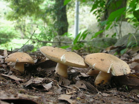 SDSCN0699.jpg
