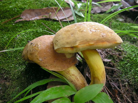 SDSCN0708.jpg